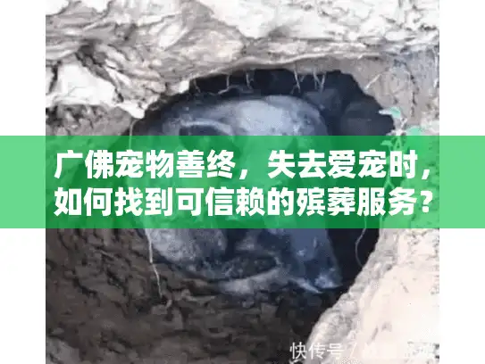 广佛宠物善终，失去爱宠时，如何找到可信赖的殡葬服务？