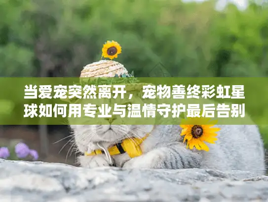当爱宠突然离开，宠物善终彩虹星球如何用专业与温情守护最后告别