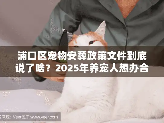 浦口区宠物安葬政策文件到底说了啥？2025年养宠人想办合规殡葬必须搞懂这些！