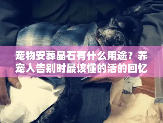 宠物安葬晶石有什么用途？养宠人告别时最该懂的活的回忆