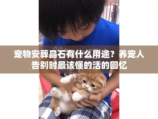 宠物安葬晶石有什么用途？养宠人告别时最该懂的活的回忆