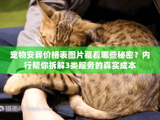 宠物安葬价格表图片藏着哪些秘密？内行帮你拆解3类服务的真实成本