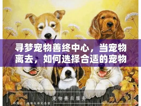 寻梦宠物善终中心，当宠物离去，如何选择合适的宠物善终服务？