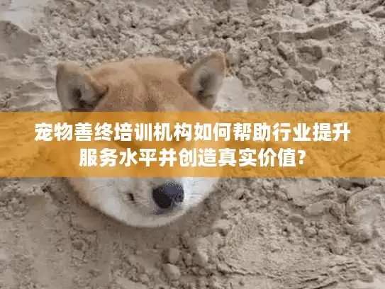 宠物善终培训机构如何帮助行业提升服务水平并创造真实价值?