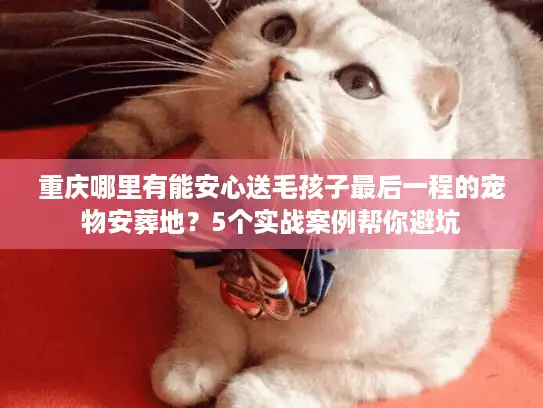 重庆哪里有能安心送毛孩子最后一程的宠物安葬地？5个实战案例帮你避坑