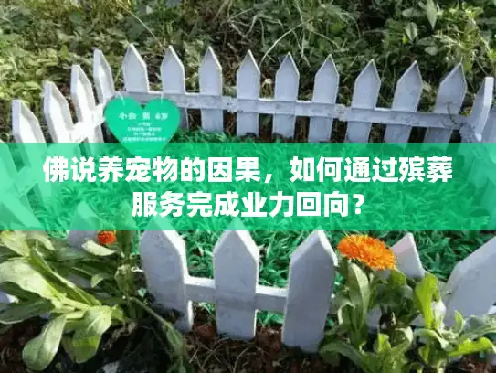 佛说养宠物的因果，如何通过殡葬服务完成业力回向？