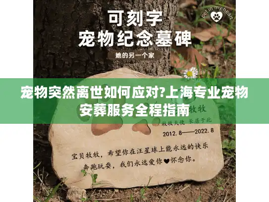 宠物突然离世如何应对?上海专业宠物安葬服务全程指南