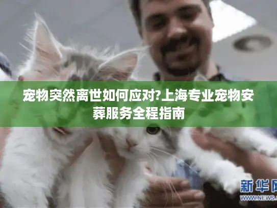 宠物突然离世如何应对?上海专业宠物安葬服务全程指南