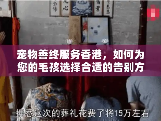宠物善终服务香港，如何为您的毛孩选择合适的告别方案？