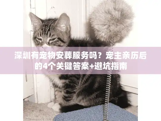 深圳有宠物安葬服务吗？宠主亲历后的4个关键答案+避坑指南