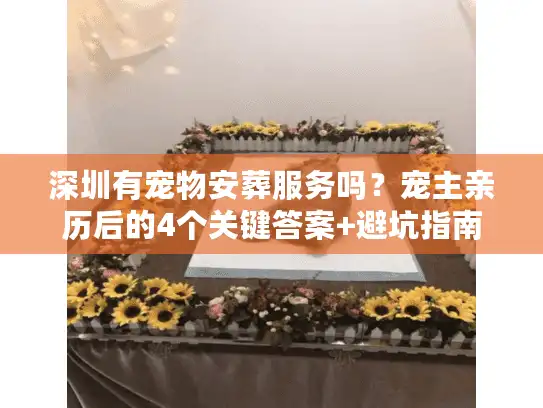 深圳有宠物安葬服务吗？宠主亲历后的4个关键答案+避坑指南