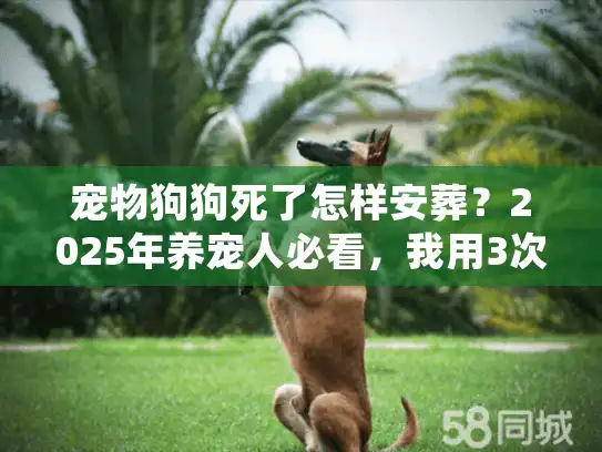 宠物狗狗死了怎样安葬？2025年养宠人必看，我用3次经历帮你选对殡葬服务