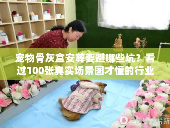 宠物骨灰盒安葬要避哪些坑？看过100张真实场景图才懂的行业真相