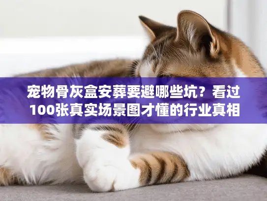 宠物骨灰盒安葬要避哪些坑？看过100张真实场景图才懂的行业真相