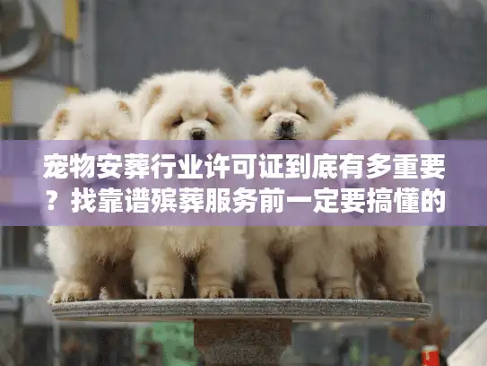 宠物安葬行业许可证到底有多重要？找靠谱殡葬服务前一定要搞懂的3个关键