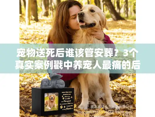宠物送死后谁该管安葬？3个真实案例戳中养宠人最痛的后事盲区