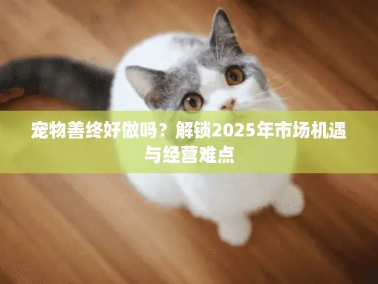 宠物善终好做吗？解锁2025年市场机遇与经营难点