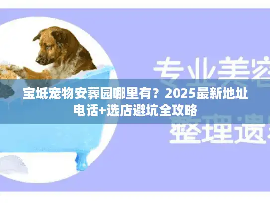宝坻宠物安葬园哪里有？2025最新地址电话+选店避坑全攻略