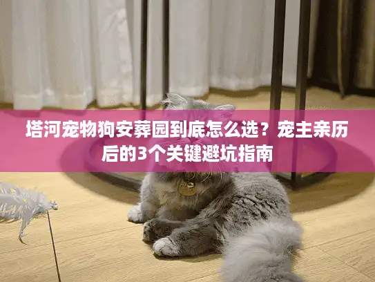 塔河宠物狗安葬园到底怎么选？宠主亲历后的3个关键避坑指南