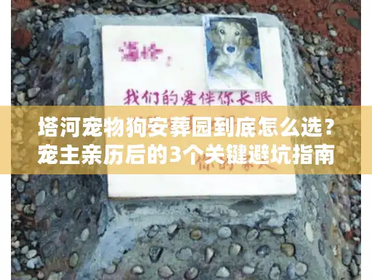 塔河宠物狗安葬园到底怎么选？宠主亲历后的3个关键避坑指南
