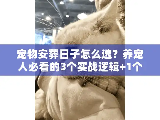 宠物安葬日子怎么选？养宠人必看的3个实战逻辑+1个避坑指南