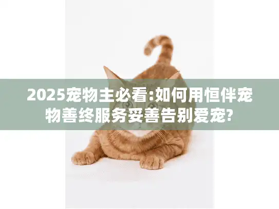 2025宠物主必看:如何用恒伴宠物善终服务妥善告别爱宠?