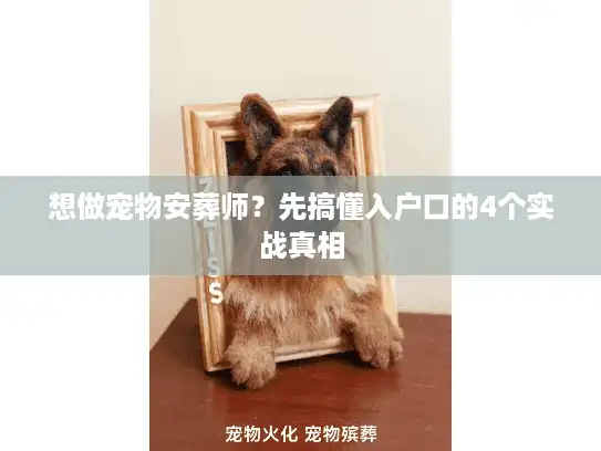 想做宠物安葬师？先搞懂入户口的4个实战真相