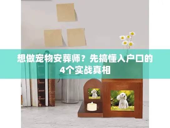 想做宠物安葬师？先搞懂入户口的4个实战真相
