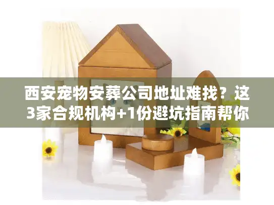 西安宠物安葬公司地址难找？这3家合规机构+1份避坑指南帮你快速定位