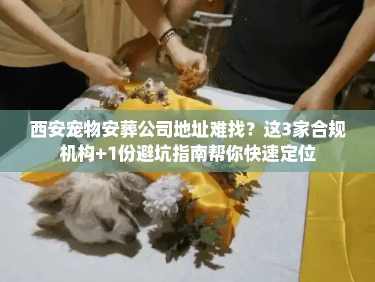 西安宠物安葬公司地址难找？这3家合规机构+1份避坑指南帮你快速定位