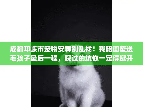 成都邛崃市宠物安葬别乱找！我陪闺蜜送毛孩子最后一程，踩过的坑你一定得避开