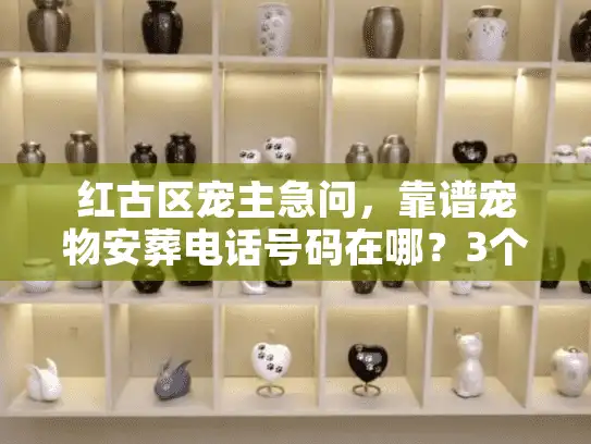 红古区宠主急问，靠谱宠物安葬电话号码在哪？3个实战教训帮你避开90%的坑