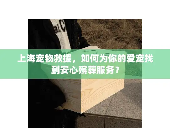上海宠物救援，如何为你的爱宠找到安心殡葬服务？