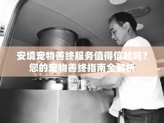 安境宠物善终服务值得信赖吗？您的宠物善终指南全解析