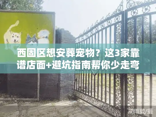 西固区想安葬宠物？这3家靠谱店面+避坑指南帮你少走弯路