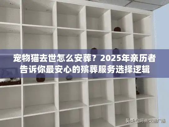 宠物猫去世怎么安葬？2025年亲历者告诉你最安心的殡葬服务选择逻辑
