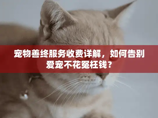 宠物善终服务收费详解，如何告别爱宠不花冤枉钱？