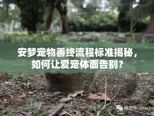 安梦宠物善终流程标准揭秘，如何让爱宠体面告别？