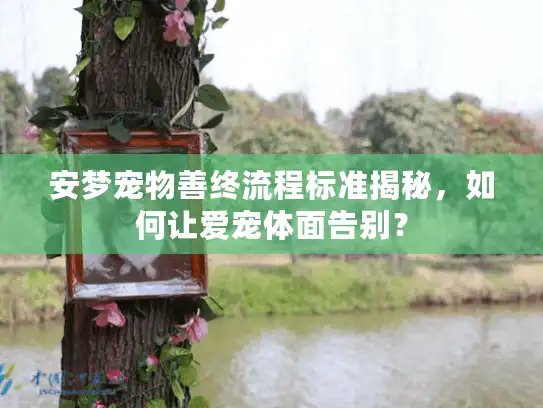 安梦宠物善终流程标准揭秘，如何让爱宠体面告别？