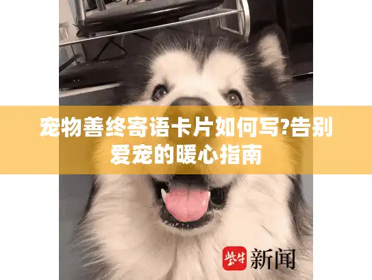宠物善终寄语卡片如何写?告别爱宠的暖心指南