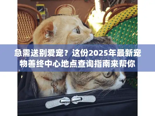 急需送别爱宠？这份2025年最新宠物善终中心地点查询指南来帮你