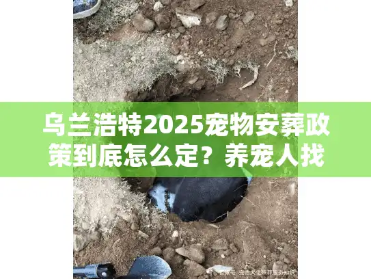 乌兰浩特2025宠物安葬政策到底怎么定？养宠人找殡葬服务必须先搞懂这些！