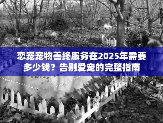 恋宠宠物善终服务在2025年需要多少钱？告别爱宠的完整指南
