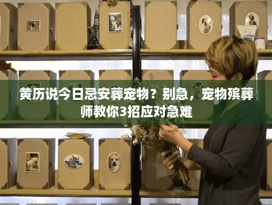 黄历说今日忌安葬宠物？别急，宠物殡葬师教你3招应对急难