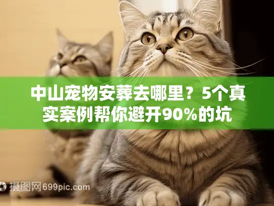 中山宠物安葬去哪里？5个真实案例帮你避开90%的坑