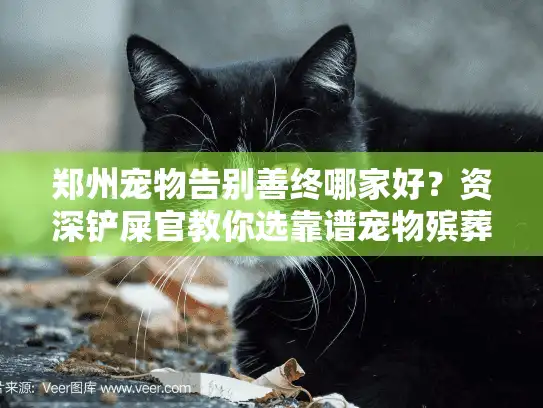 郑州宠物告别善终哪家好？资深铲屎官教你选靠谱宠物殡葬服务机构