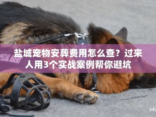 盐城宠物安葬费用怎么查？过来人用3个实战案例帮你避坑