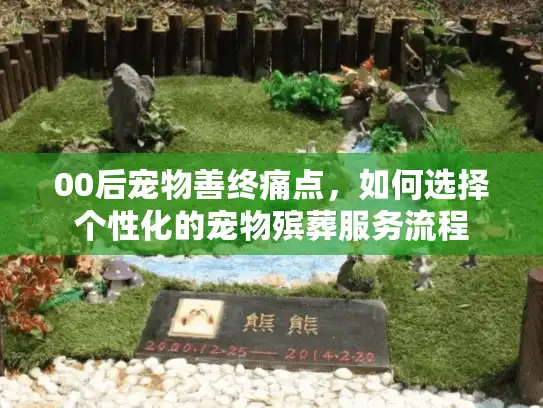 00后宠物善终痛点，如何选择个性化的宠物殡葬服务流程
