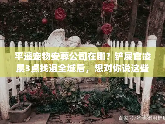 平遥宠物安葬公司在哪？铲屎官凌晨3点找遍全城后，想对你说这些掏心话