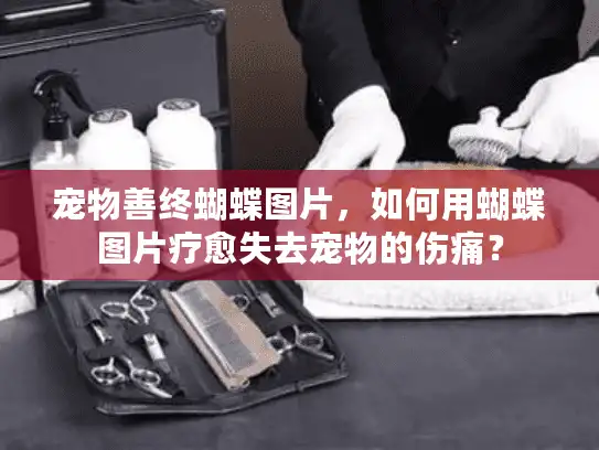 宠物善终蝴蝶图片，如何用蝴蝶图片疗愈失去宠物的伤痛？